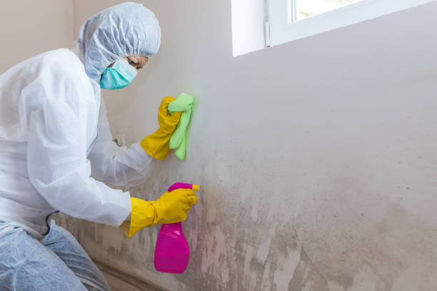 Why You Should Choose Our Mold Remediation Services in Moscow, PA